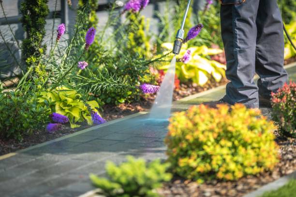 Best Gutter Cleaning  in Pittsville, MD