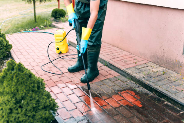 Best Solar Panel Cleaning  in Pittsville, MD